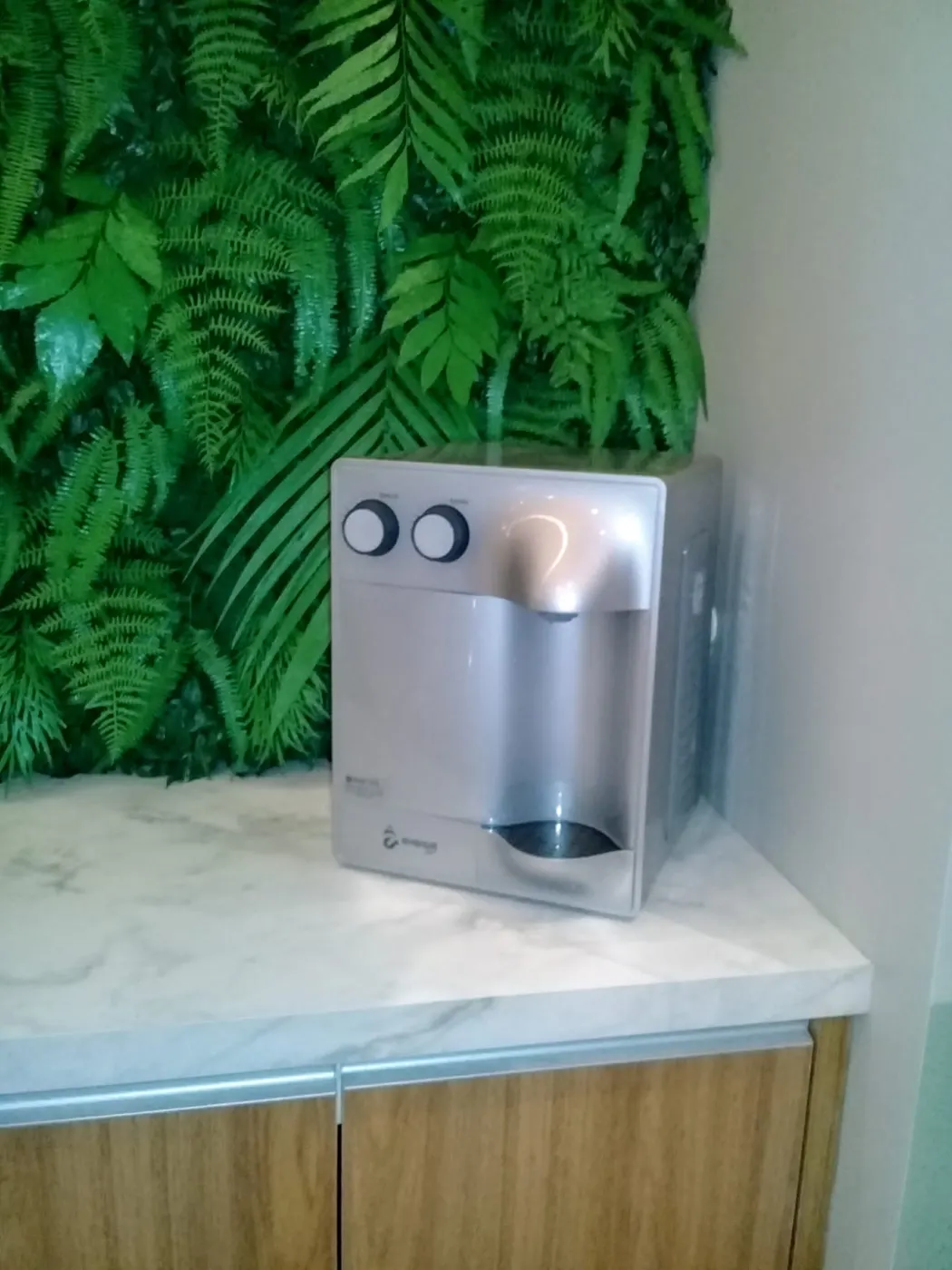 Purificador de água Everest prata instalado em bancada de mármore com parede de folhagem
